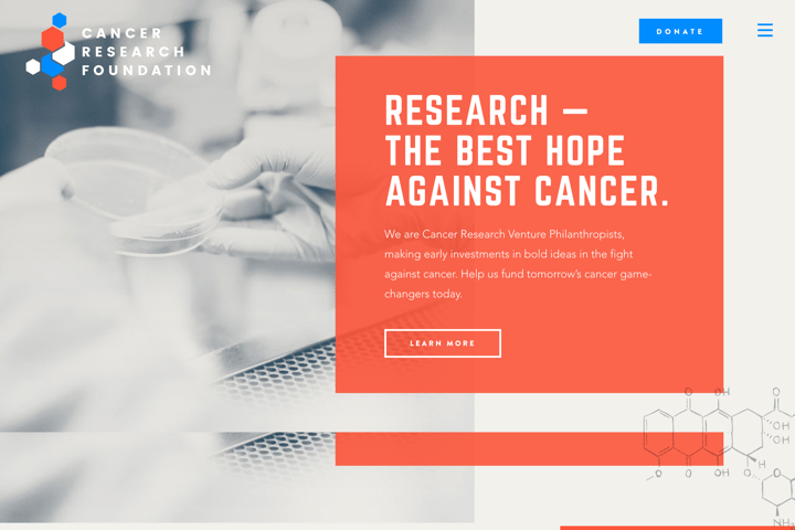 Funding the Best Minds in Cancer Research website preview